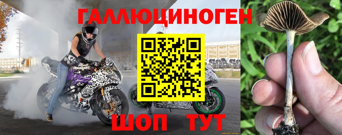Галлюциногенные грибы GOLDEN TEACHER Лангепас
